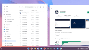play store on chrome os