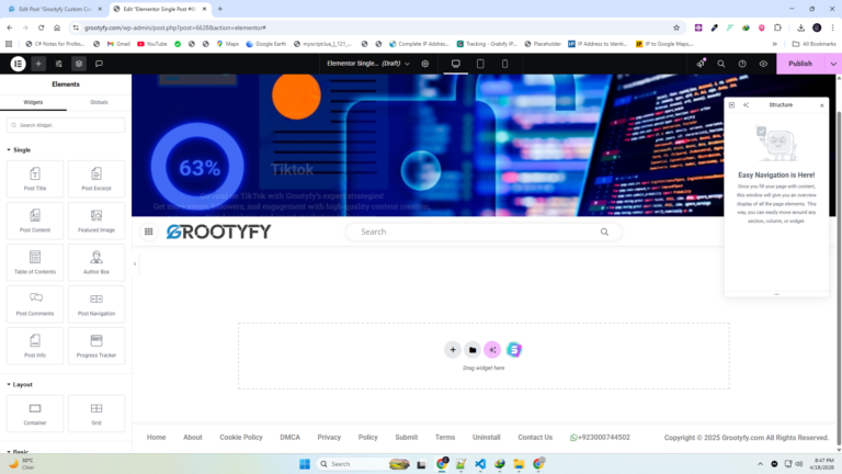 WordPress plugin dashboard showing custom HTML CSS JavaScript fields
