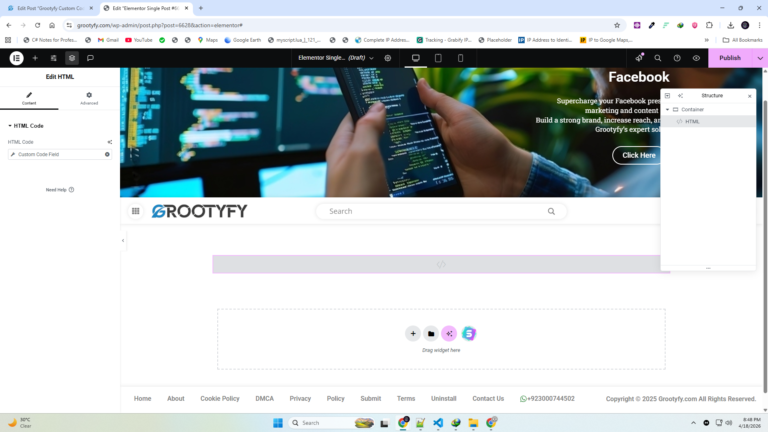 JavaScript custom field in WordPress plugin editor